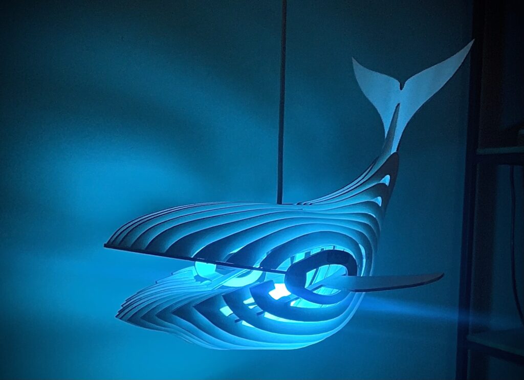 Balena luce blu